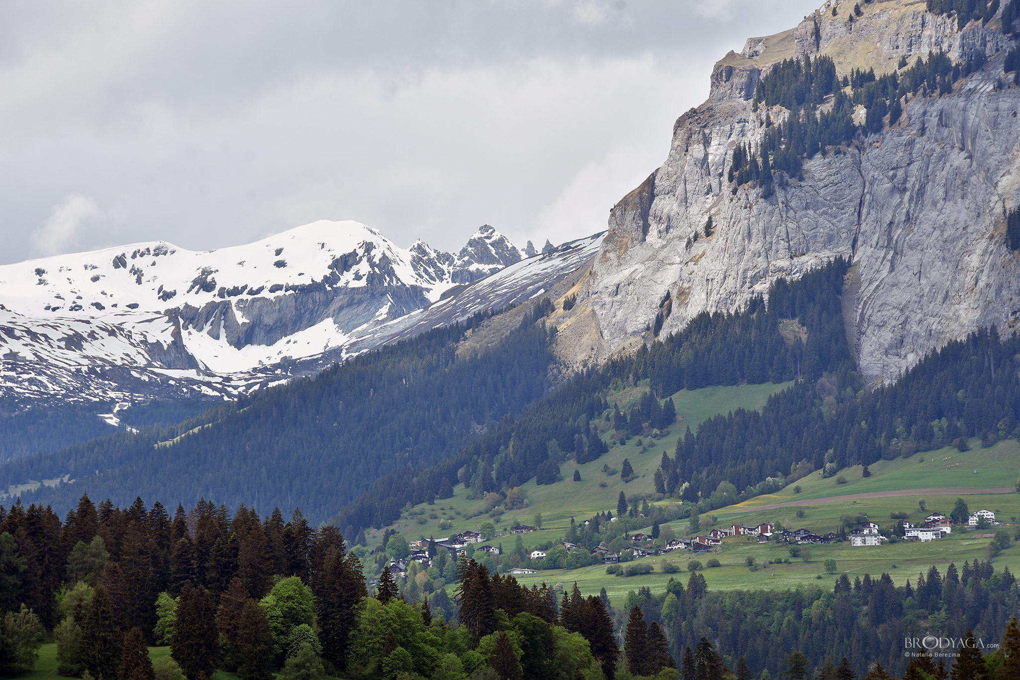 Trin